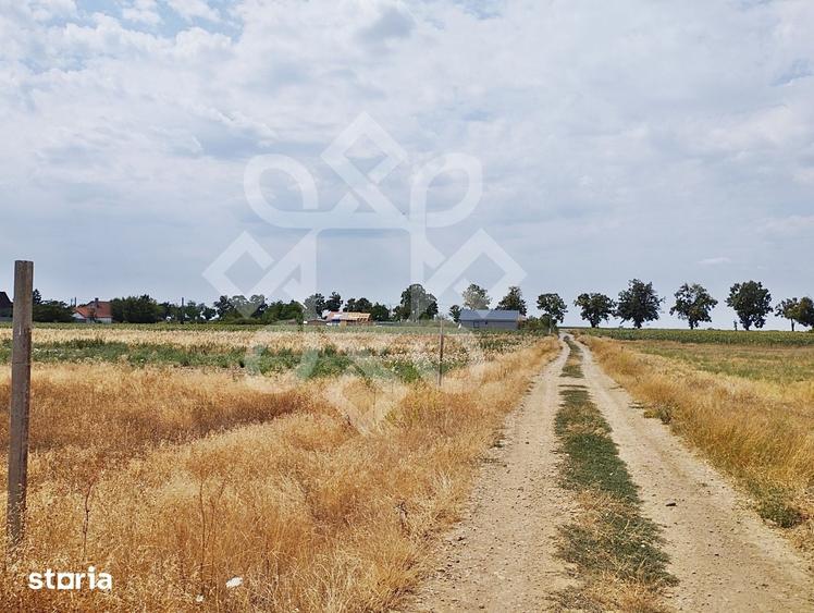Teren intravilan de vanzare, 3000 mp in Gepiu, Bihor - 6