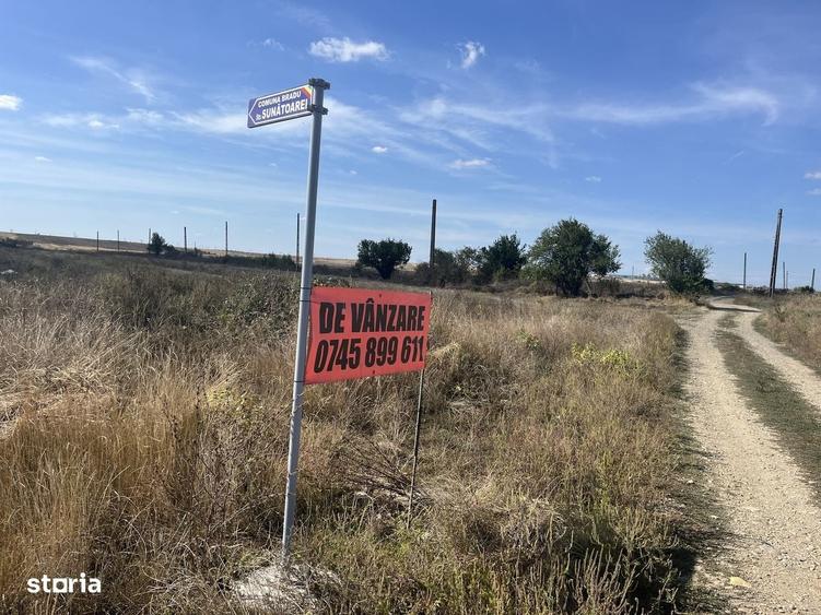 Spațiu comercial, în Bradu