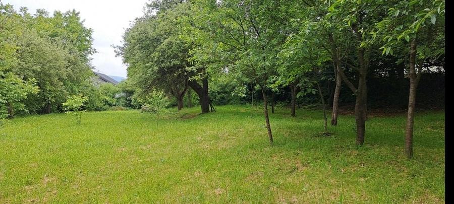 Teren de 4300 mp, în Ciurila