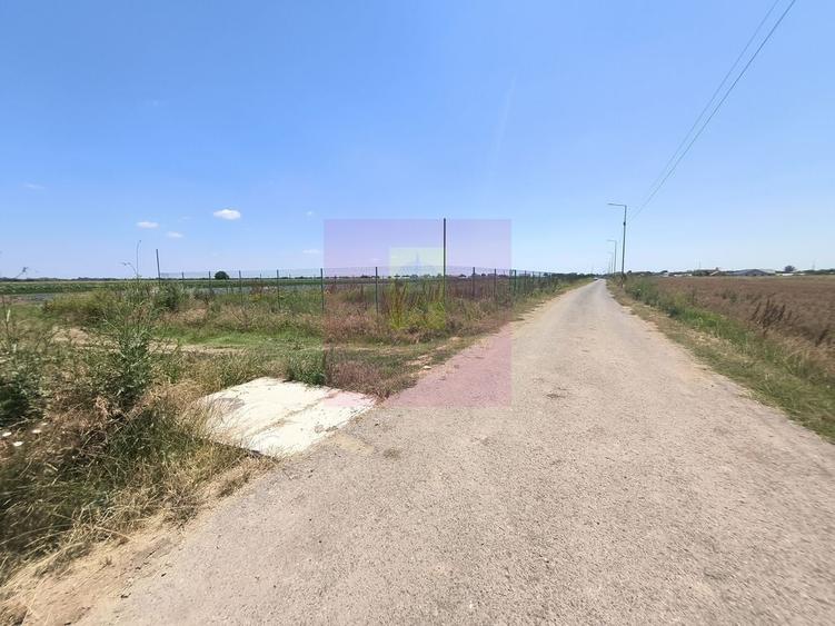 Teren de 582 mp, în Copăceni