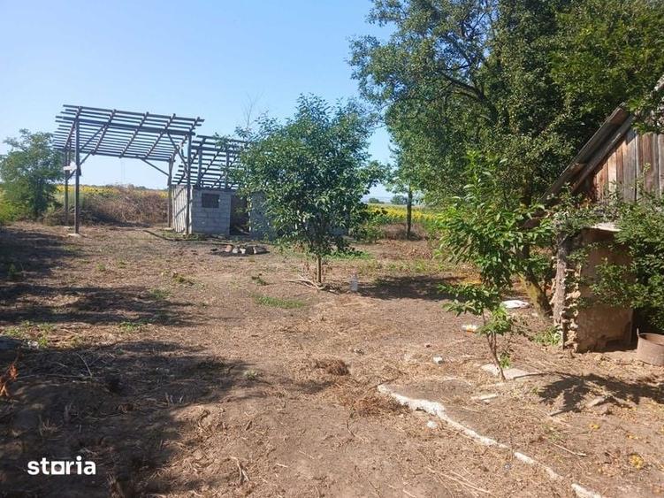 Teren intravilan cu casa si anexe - 6
