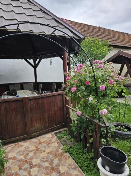 Casă individuală cu 3 camere cu Teren 2300 Mp în Nord-Est