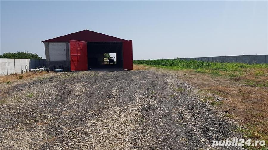Spațiu comercial, de 20,000 mp, în Ciorani