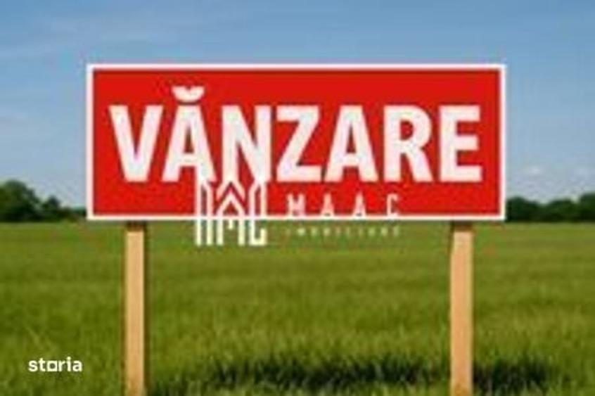 Spațiu comercial, în Terezian