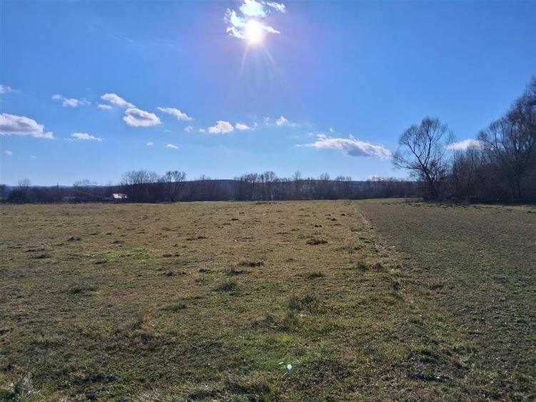 Teren intravilan de 14780 mp, în Grumăzești