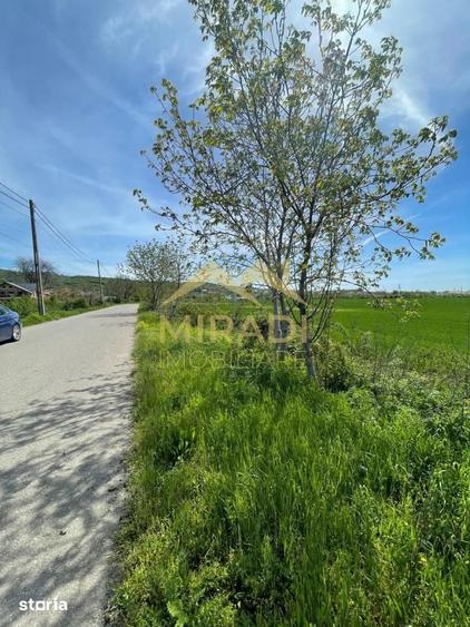 Teren de 7500 mp, în Boldești