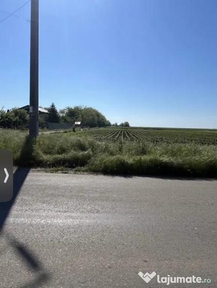 Teren de 1000 mp, în Sărulești