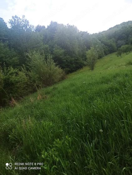 Teren de 3000 mp, în Băbana