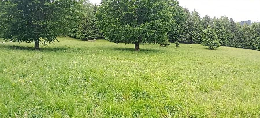 Teren de 500 mp, în Brădățel
