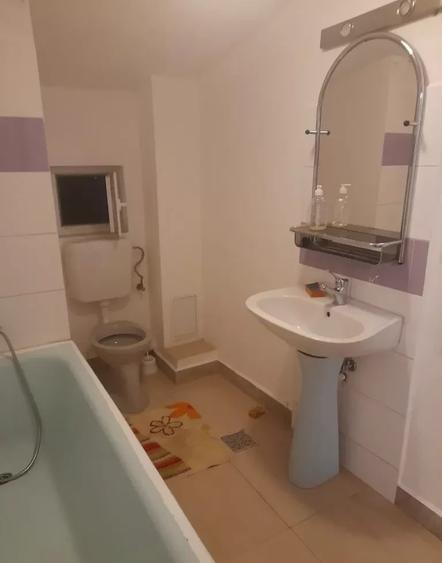 Închiriere Garsonieră în casa cu curte zona Berceni - Luica | PetFriendly - 4
