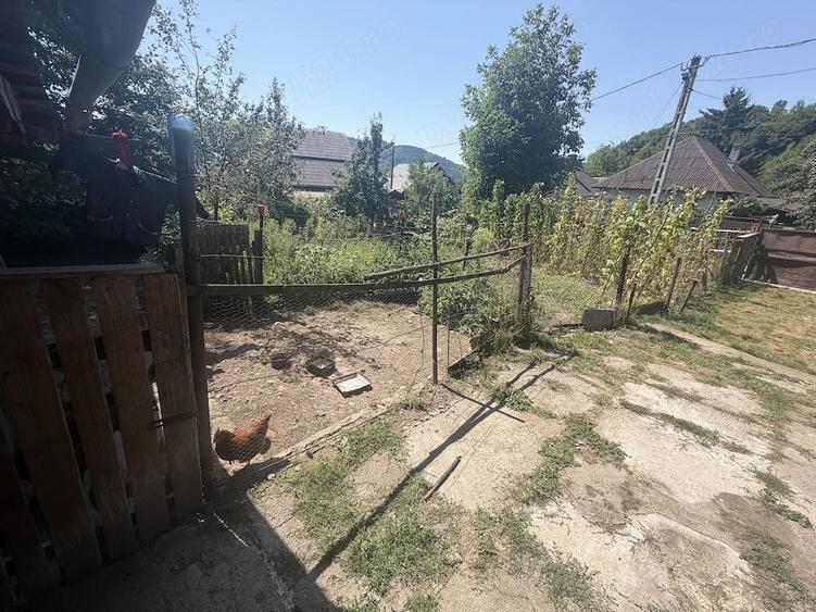 Casă cu Teren 7000 Mp în Central