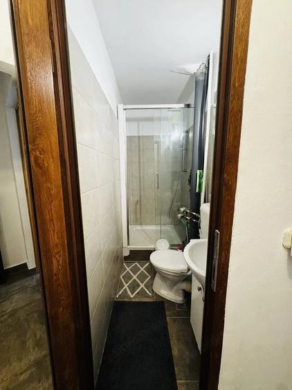 Apartament cu 2 camere de inchiriat Sagului - 6
