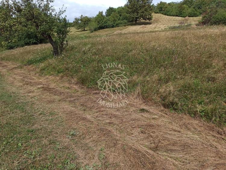 Teren agricol extravilan de 5200 mp, în Livezile