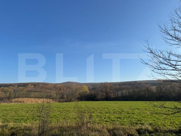 Teren agricol extravilan de 13374 mp, în Călan