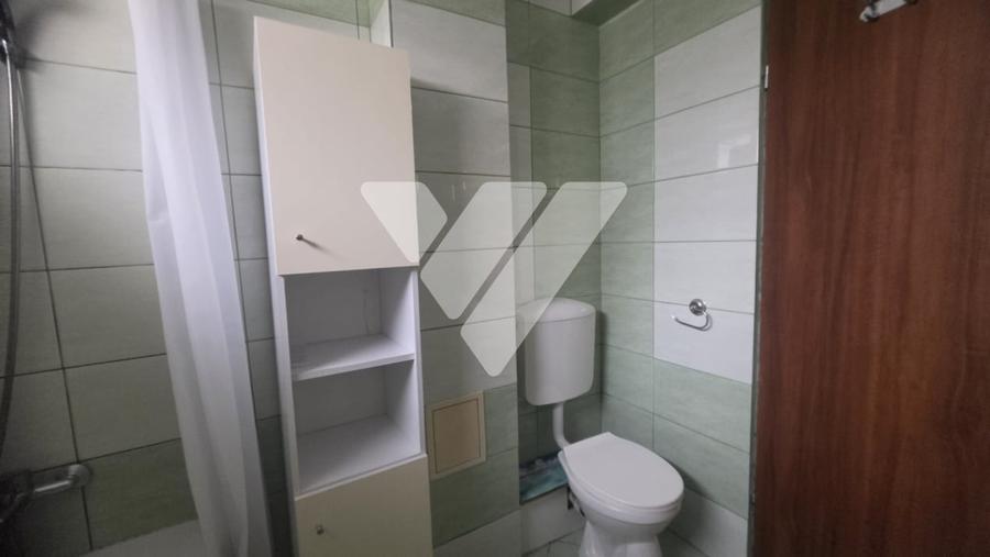 Apartament cu 2 camere decomandat, mobilat în Turnișor