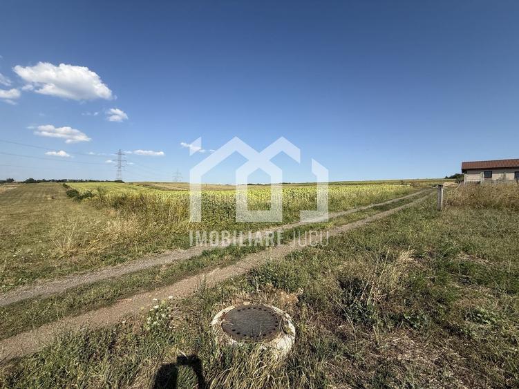 Teren Construcții intravilan de 11600 mp, în Jucu de Sus