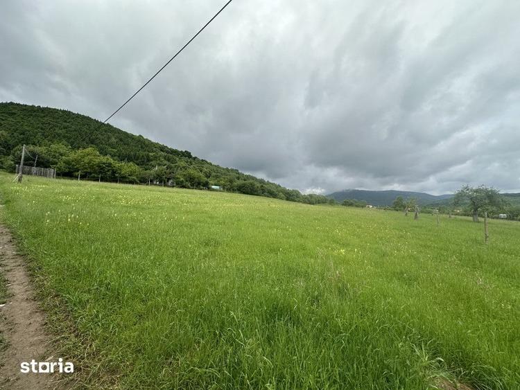 Teren de 2000 mp, în Central