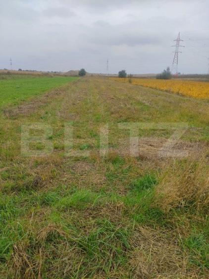 Teren extravilan 2600 mp, Calea Cernauti, Radauti - 1