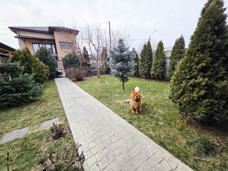Casă individuală cu 4 camere cu Canalizare în Tunari