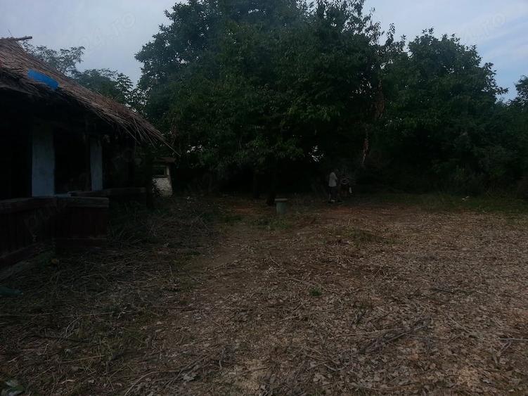 Teren de 1238 mp, în Gruiu