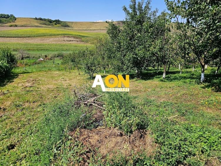 Casă individuală cu 3 camere cu Canalizare în Bucerdea Grânoasă