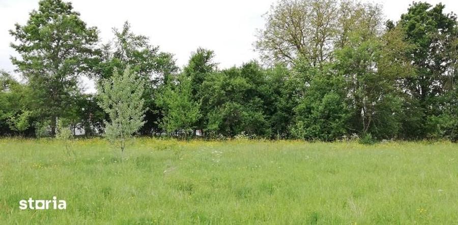 Teren de 11500 mp, în Vărădia de Mureș