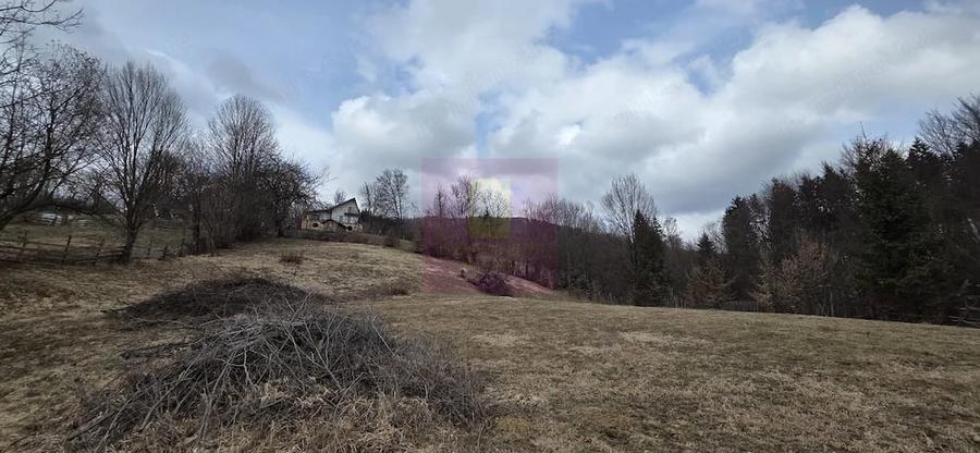 Teren de 2500 mp, în Valea Doftanei