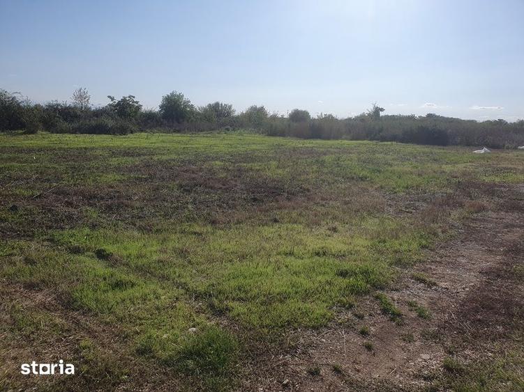 Teren intravilan Balotesti,apropiere Dn1 , 24500 euro - 10