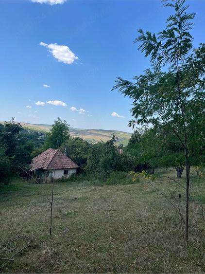 Teren de 2774 mp, în Silivașu de Câmpie