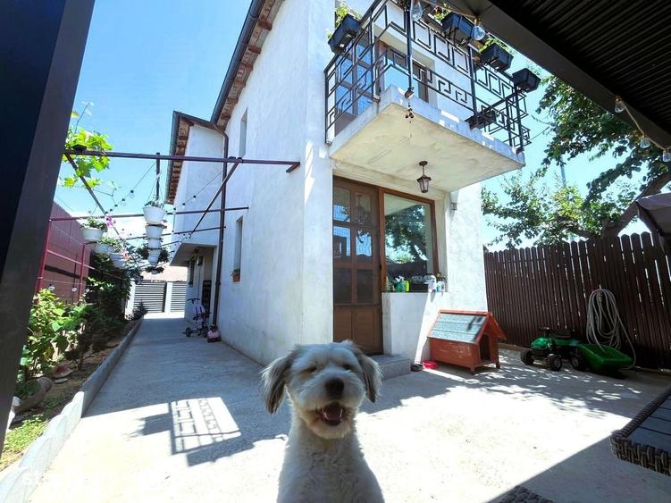Casa 2018 | Tulcea - 3