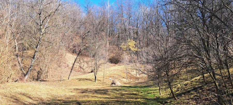 Teren agricol intravilan de 2142 mp, în Podul Lung
