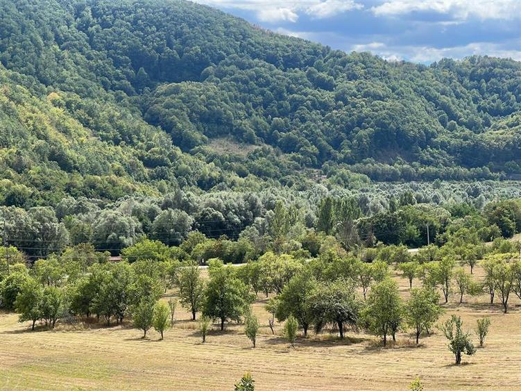 Teren Construcții intravilan de 6354 mp, în Mihăileni