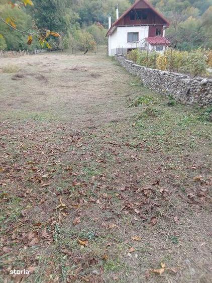 Teren de 3350 mp, în Schela