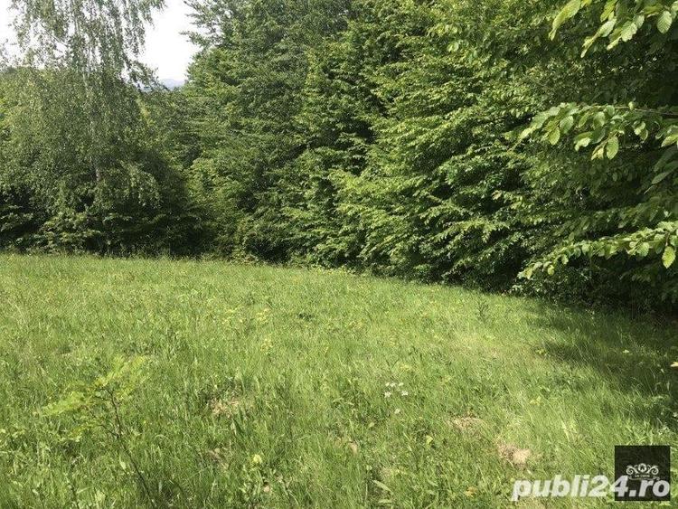 Teren de 14600 mp, în Albești