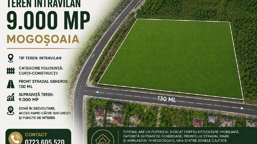 Teren Construcții intravilan de 9000 mp, în Mogoșoaia