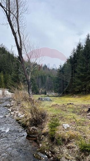 Teren Construcții intravilan de 4331 mp, în Arieșeni