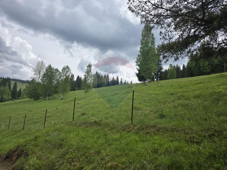 Teren agricol extravilan de 5034 mp, în Iacobeni