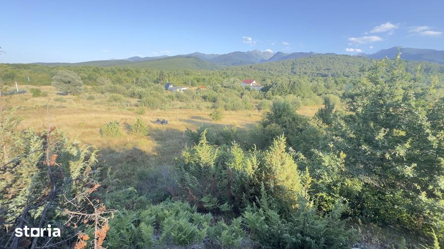 Teren de 1700 mp, în Cârțișoara
