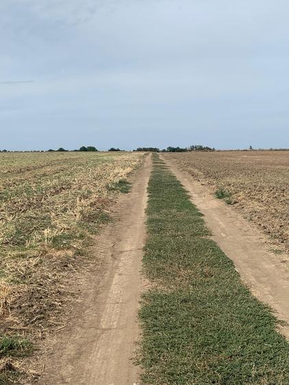 Teren agricol intravilan de 4000 mp, în Dimieni