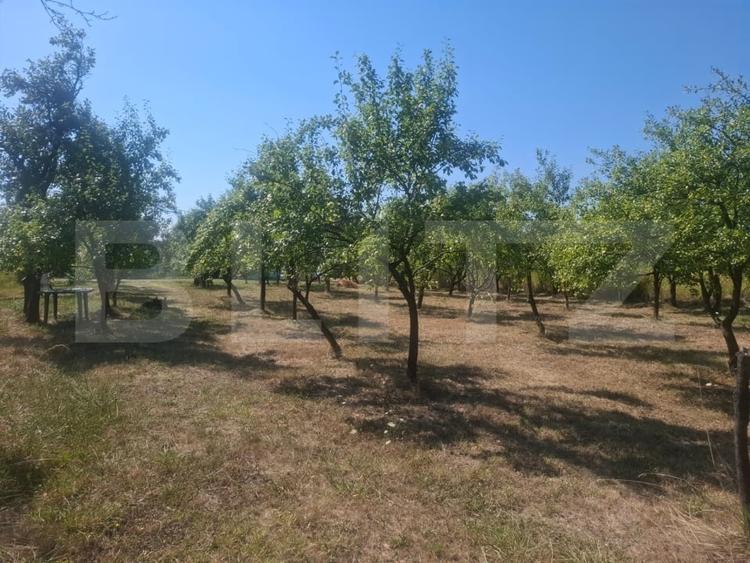 Teren Construcții intravilan de 2493 mp, în Cobiuța