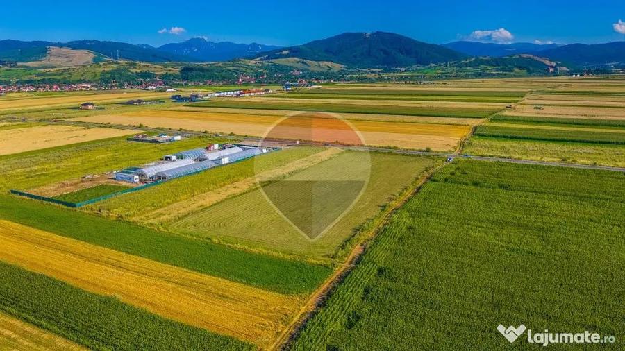 COMISION 0% | Teren intravilan 7.500 mp | Tarlungeni, Brasov - Tarlungeni (Brasov) - 7