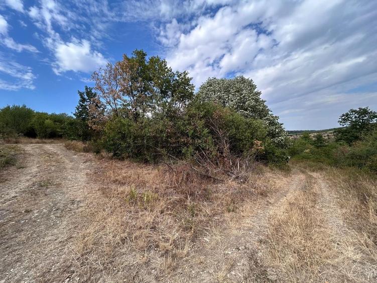 Teren agricol intravilan de 4316 mp, în Săldăbagiu de Munte