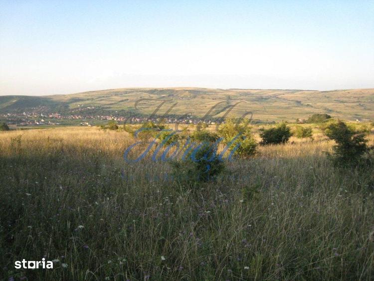 Teren de 5700 mp, în Chinteni