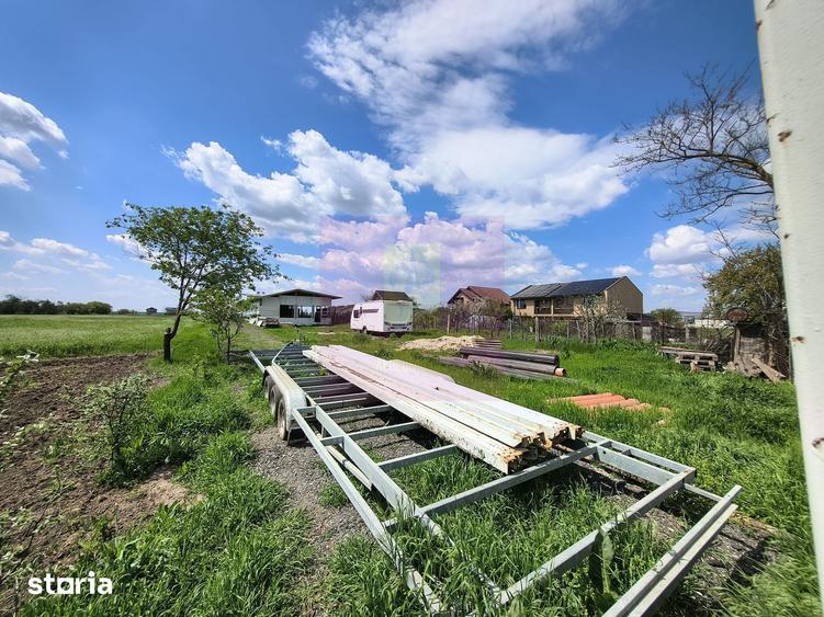 Teren de 1700 mp, în Cernica