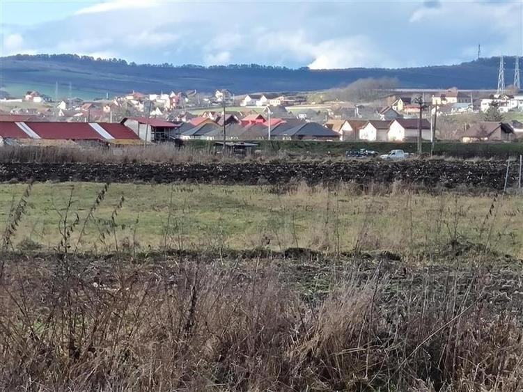 Teren intravilan de 6991 mp, în Mureșeni