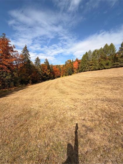 Teren de 3250 mp, în Scărișoara