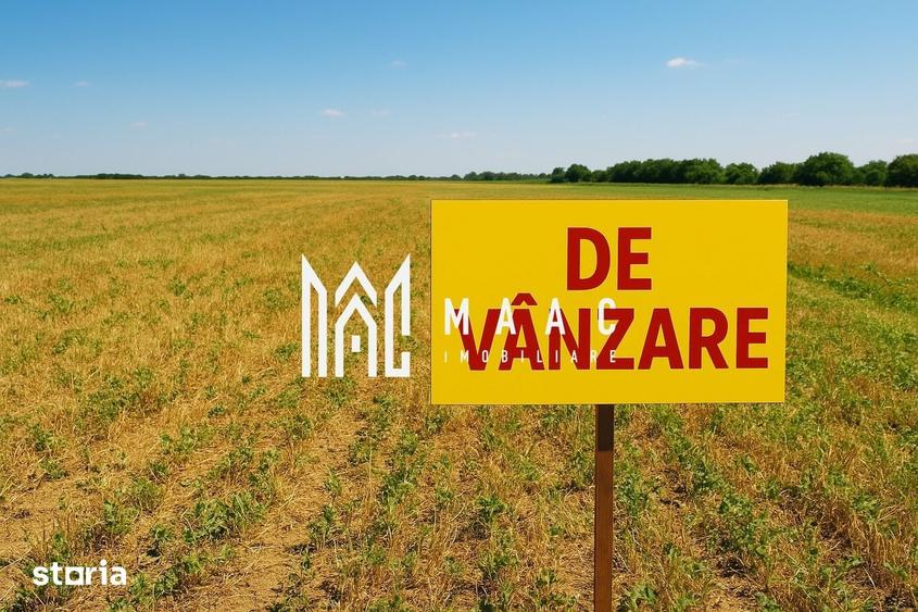Teren de 2269 mp, în Roșia