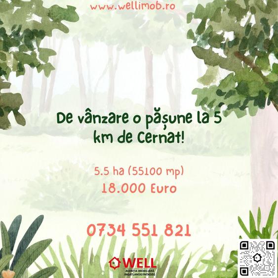 Teren agricol extravilan de 5.5 mp, în Cernat