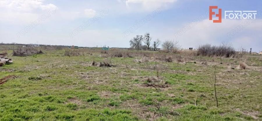 Teren de 798 mp, în Peciu Nou