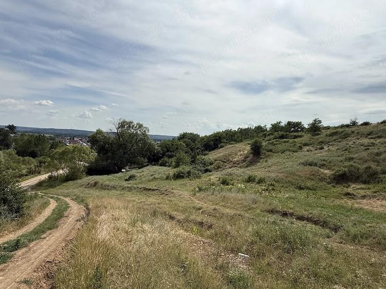 Teren de 10000 mp, în Brădești